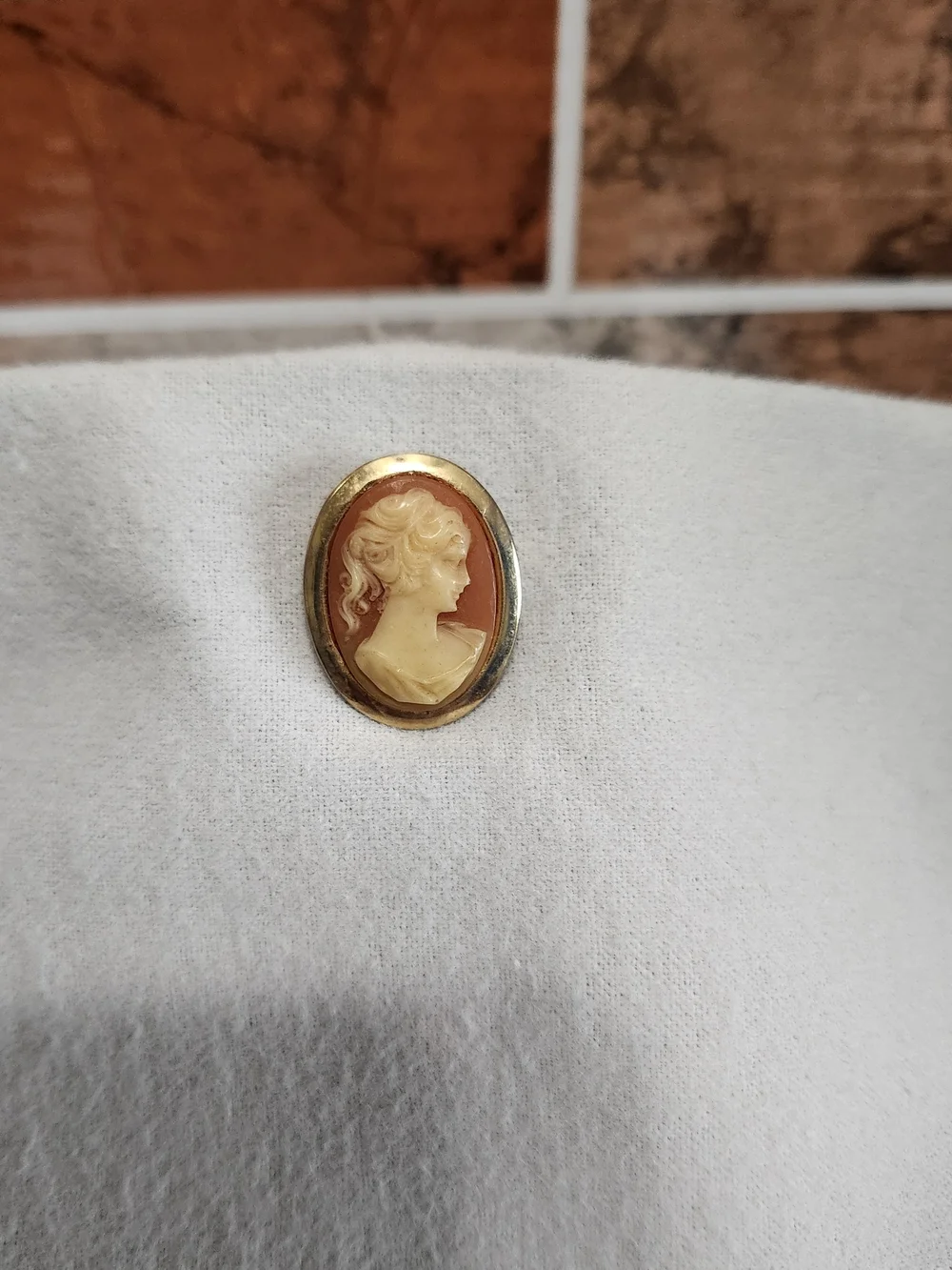Vintage Cameo Brooch in Cream and Brown with Gold-Tone Frame